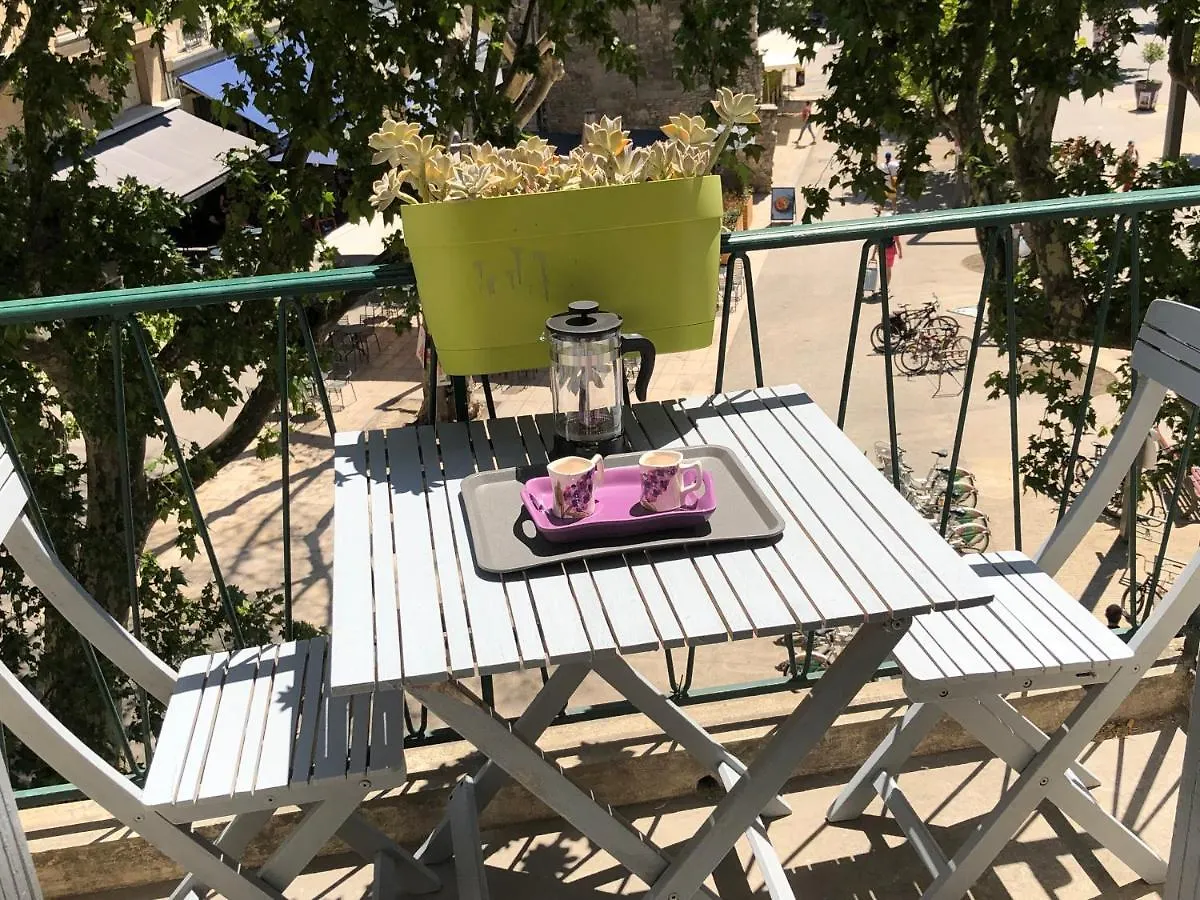 Appartement De Charme Avignon Centre Historique Terrasse Et Balcon Place Pie contacts