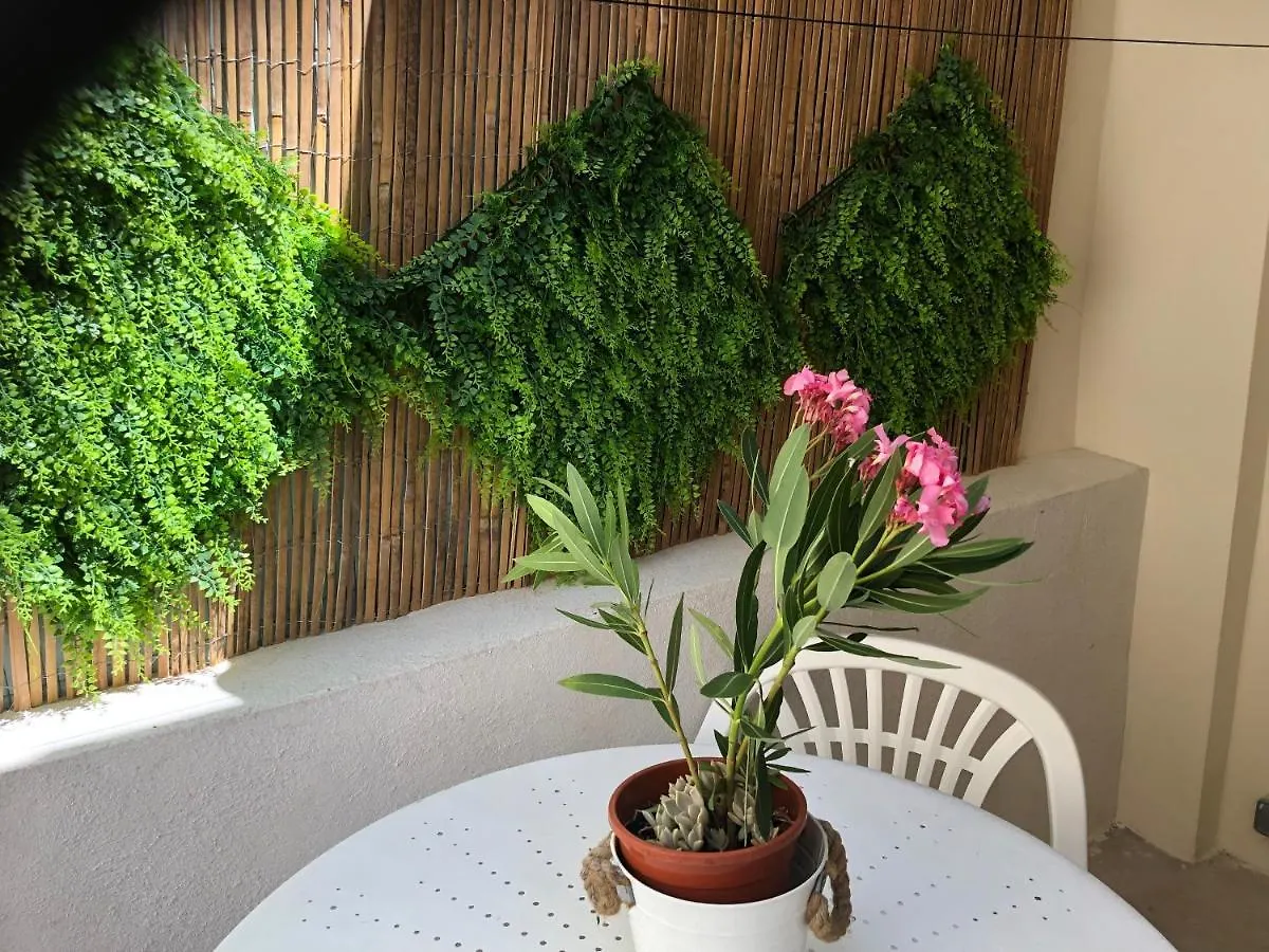 Appartement De Charme Avignon Centre Historique Terrasse Et Balcon Place Pie 0*,